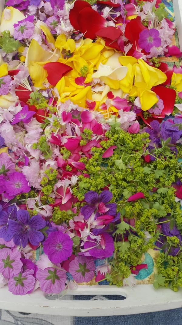 Blüten und Kräuter